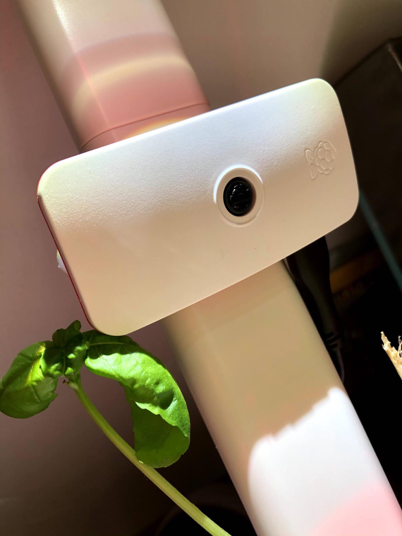 Pi Cam