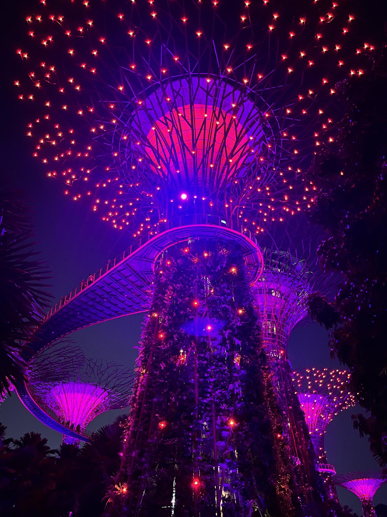 Supertree Light Show