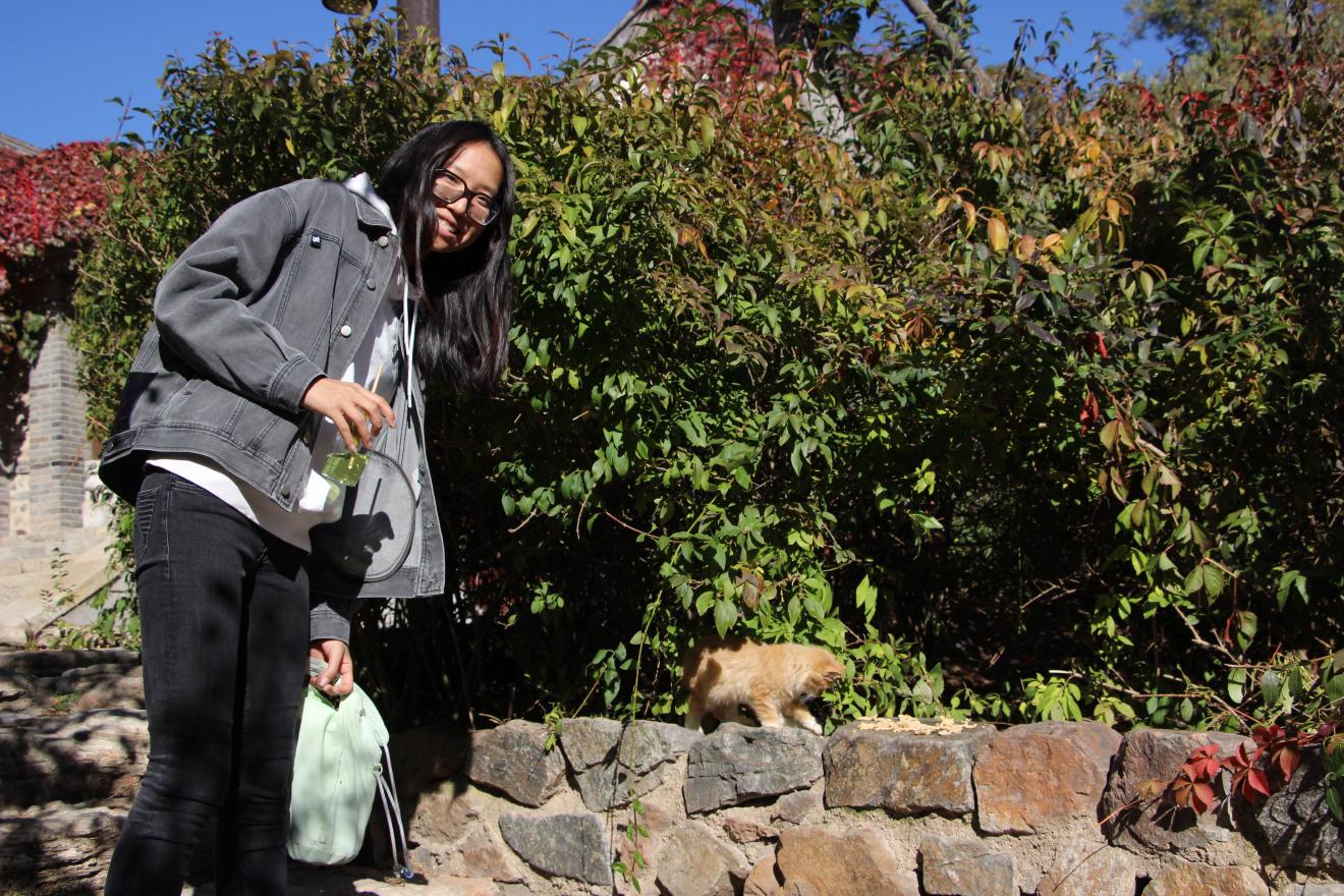Smol Cat in Gubei
